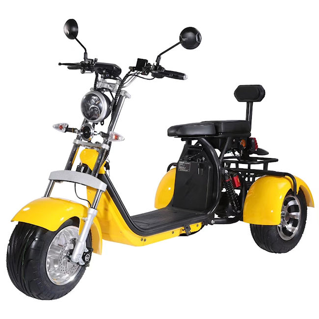 Mobility Trike